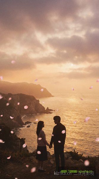 含羞草9.1影视实验室 - 《剧场版 · 排球少年》