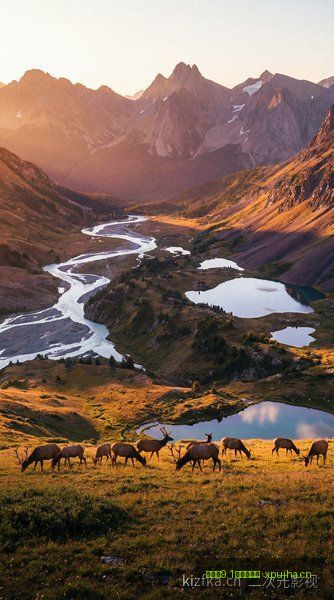 含羞草9.1影视实验室 - 日韩影视大全 - 《信号》时空穿越神剧